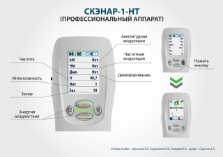 СКЭНАР-1-НТ (исполнение 01)  в Йошкар-оле купить Нейродэнс ПКМ официальный сайт - denasdevice.ru 